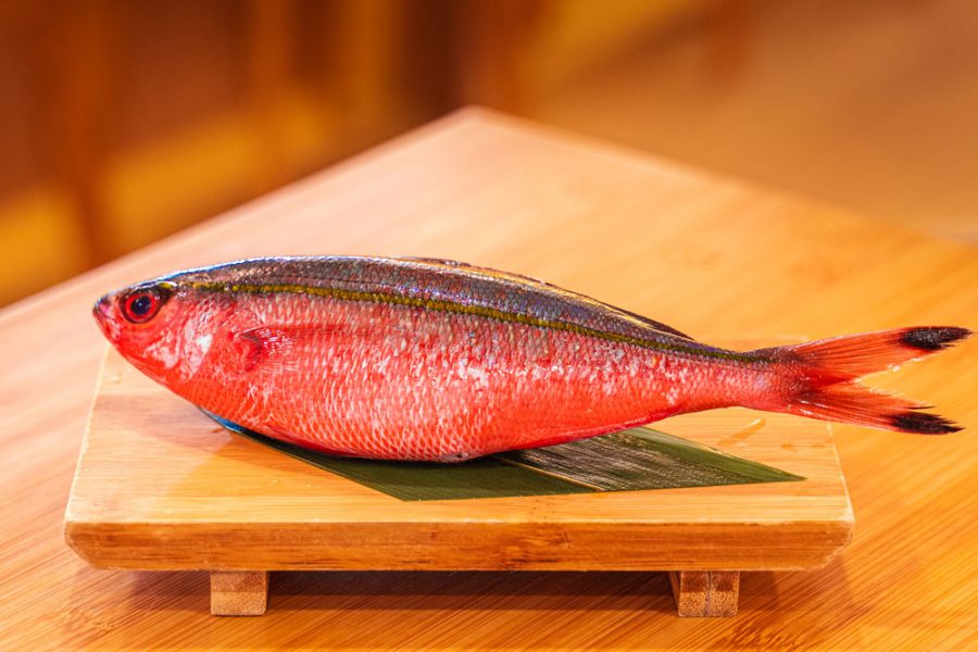 Fresh Gurukun Fish